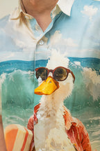 What the Duck?